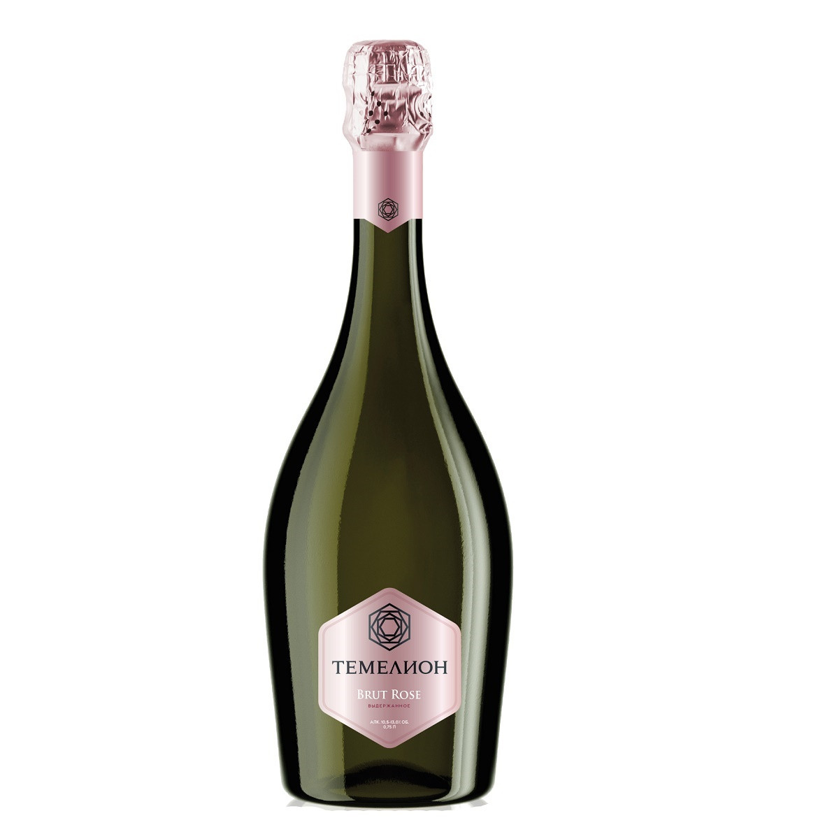 Mousse expansive Volden 500ml champagne