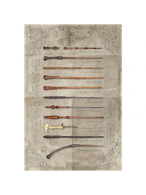 Harry Potter Poster Wands 161