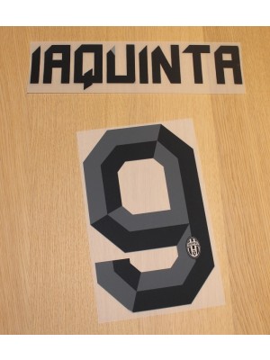 Juventus away printing 2010/11 - Iaquinta 9