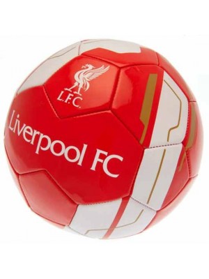Liverpool FC Football VR