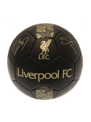 Liverpool FC Skill Ball Signature Gold PH on Grass Field