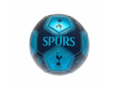 Tottenham Hotspur FC Skill Ball Signature