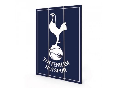 Tottenham Hotspur FC Wood Print