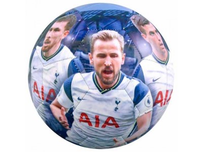 Tottenham Hotspur FC Players Photo Football