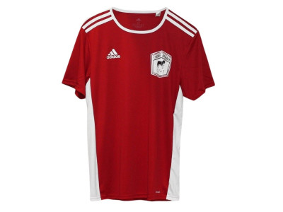 Greenland entrada jersey - K'ingmek Upernavik