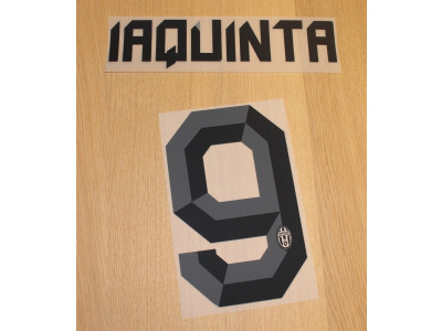 Juventus away printing 2010/11 - Iaquinta 9