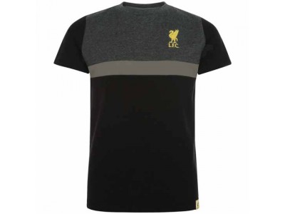 Liverpool FC Panel T Shirt Junior 5-6 Years