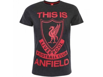 Liverpool FC This Is Anfield T Shirt Mens Charcoal Small