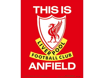 Liverpool FC 3D Print