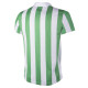 F.C. Wageningen 2e Divisie Shirt 100% polyester