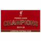 Liverpool FC Premier League Champions Flag