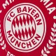 FC Bayern Munchen T-Shirt est. 1900