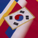 South Korea 1994 Retro Football Shirt