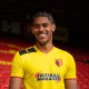 Watford FC 2012 - 13 Retro Football Shirt - Live Preview