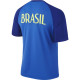 Brazil training top world cup 2014