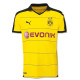 Dortmund home jersey 2015/16