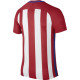 Atletico Madrid home jersey matchday
