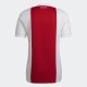 Ajax Amsterdam soccer jersey - back