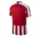 Atletico Madrid home jersey - back