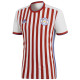 Paraguay home jersey 2017/19