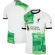 Liverpool away jersey 2023/24 - adult sizes
