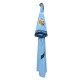 Man City Champs badge 
