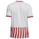 Paraguay home jersey 2017/19