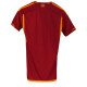 Roma home kit - backside