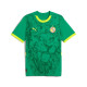 Senegal away jersey ANC 2026 - mens