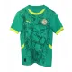 Senegal away kit - African Nations Cup