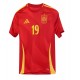 Spain home front - 19 - standard number