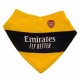 Arsenal FC 2 Pack Bibs