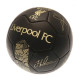 Liverpool FC Skill Ball Signature Gold PH with Signature