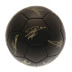 Collector's Liverpool FC Skill Ball Signature Gold PH
