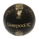 Liverpool FC Skill Ball Signature Gold PH on Grass Field