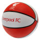 Close-up: Club Logo on Basketball