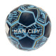 Premium Soft Vinyl Cover on MCFC Ball