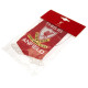 Liverpool FC Fan Mini Pennant Display