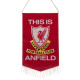 Liverpool FC Mini Pennant TIA - Fan Collectible