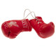 Official Reds Miniature Boxing Gloves