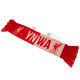 Official Reds Miniature Car Scarf