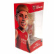 Embossed Arsenal FC Logo on MINIX Figure