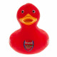 Detail of Club Colors and Crest on the Duck