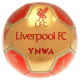 Exclusive Liverpool FC Signature Series Soccer Ball