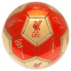 Close-up: Signature Detail on Special Edition Soccer Ball