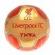 Liverpool FC Crest on Sig 26 Skill Ball