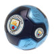 MCFC Sig 26 Skill Ball - Front View