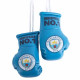 Sky Blue Mini Boxing Gloves in Action