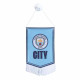 MCFC Mini Pennant Style