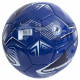 Chelsea FC football